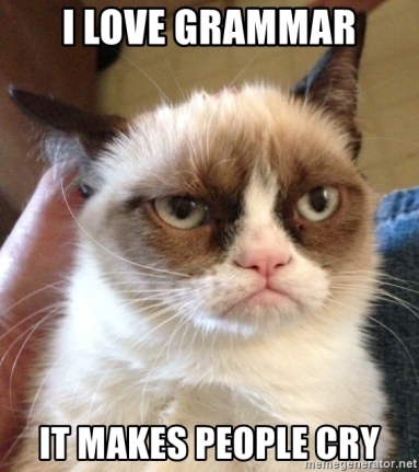 grumpy cat grammar